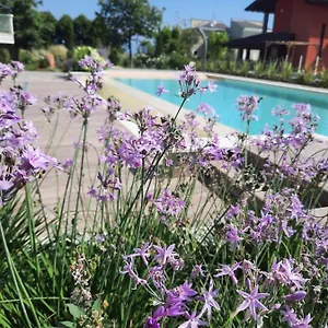 https://appartamenti-villa-gloria.hotelinveneto.com